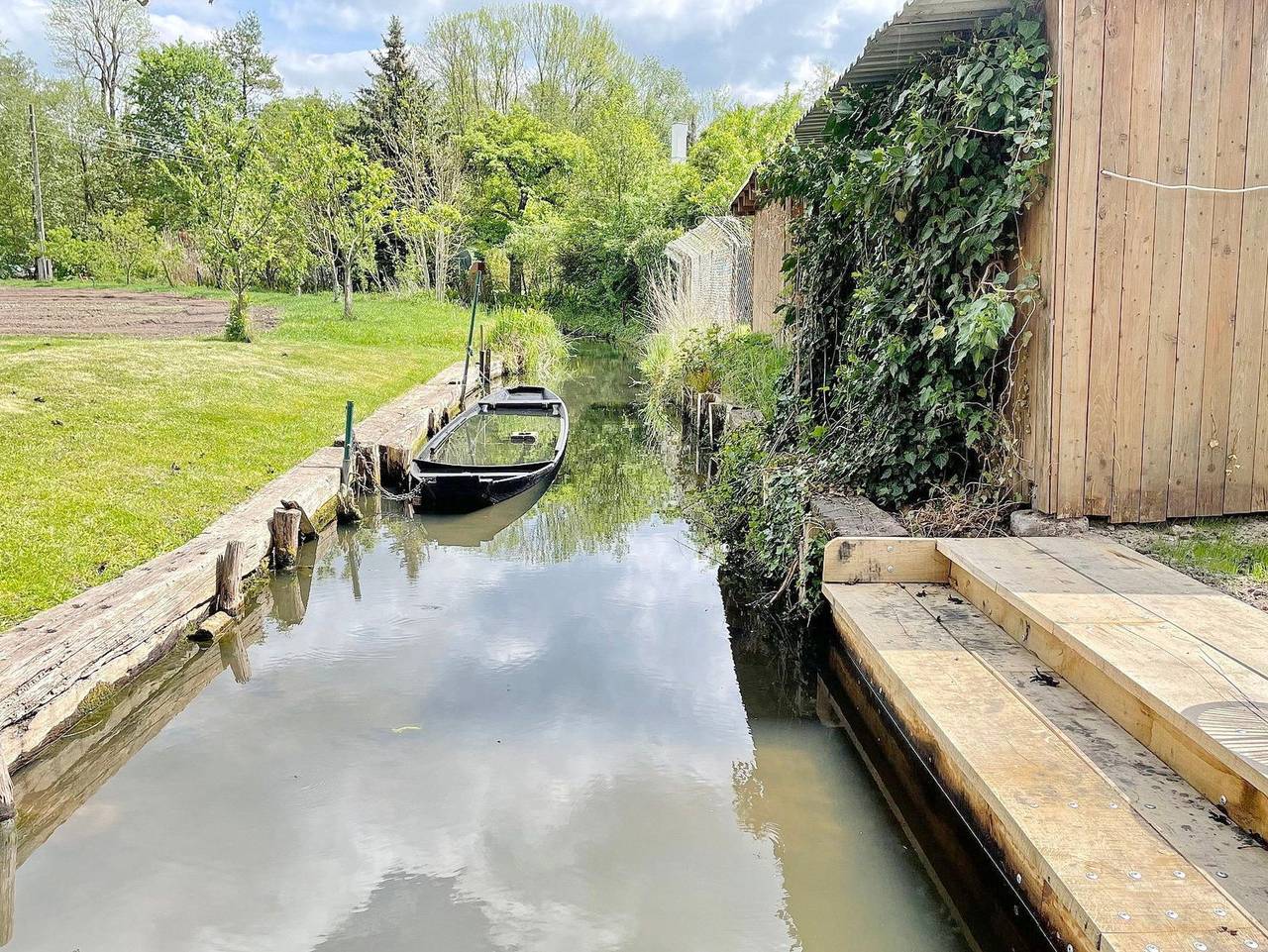 Admiral in Lübbenau, Oberspreewald-Lausitz