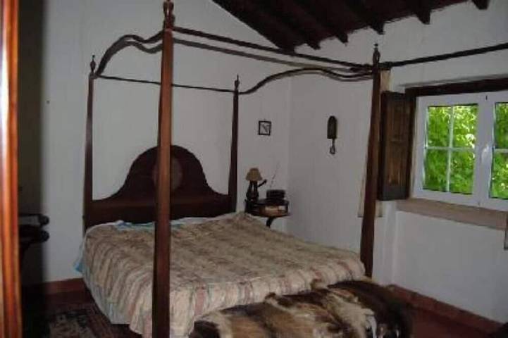 Gîte pour 16 personnes, avec jardin et balcon à Tomar - 2