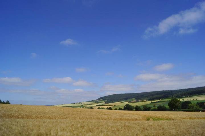 Ferienhaus für 8 Personen, mit Sauna und Garten sowie Ausblick in Hannover und Umgebung - 4