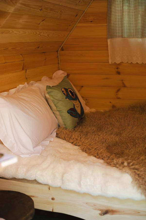 Cabane Froggyroom in Migné-Auxances, Vienne (France)