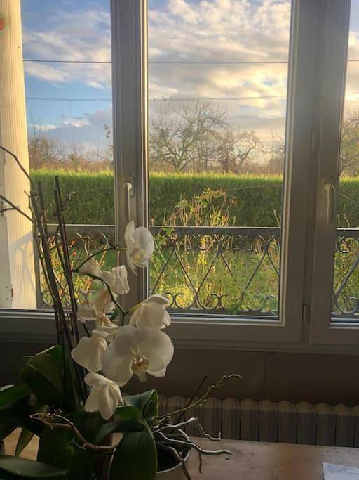 Location de vacances pour 6 personnes, avec jardin à Blainville-sur-Mer - 2