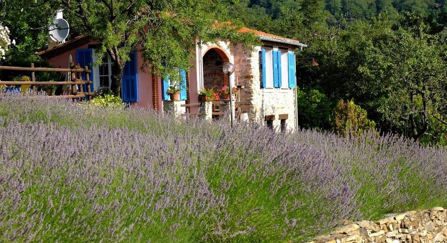 Location de vacances pour 4 personnes, avec vue ainsi que piscine et jardin dans Pantasina - 2