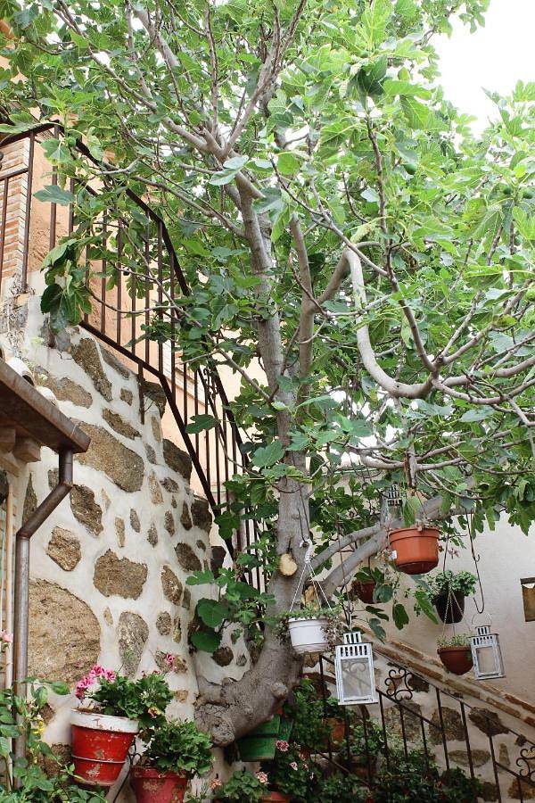 Apartamento de vacaciones para 4 personas, con piscina y jardín en Provincia de Toledo - 4