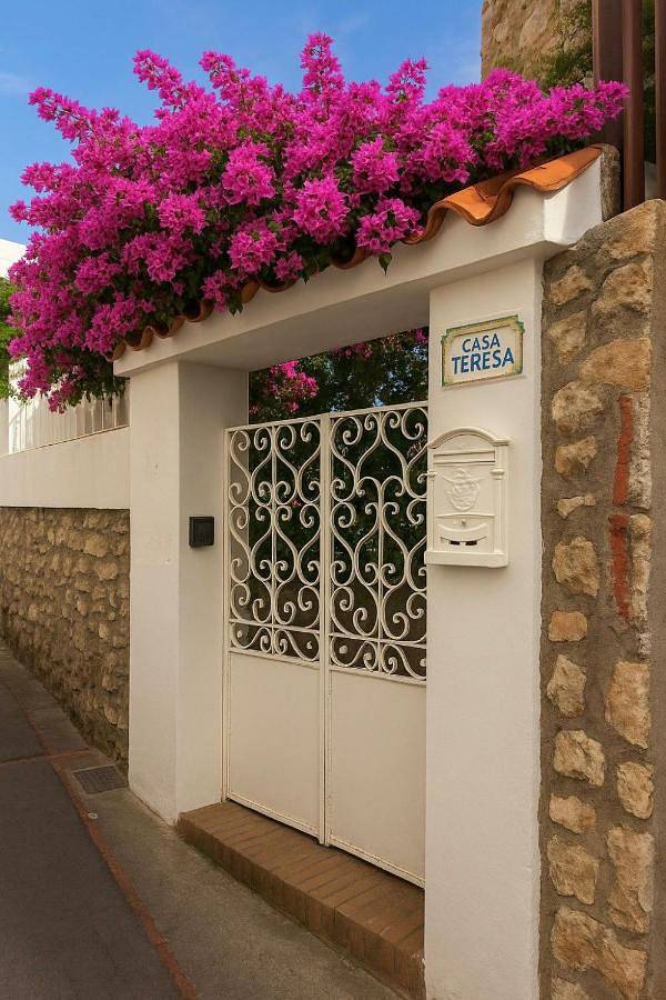 Chambre d’hôte pour 4 personnes, avec balcon, animaux acceptés à Capri - 3