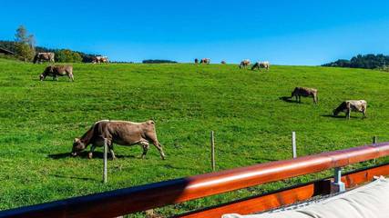 Ferienhaus für 4 Personen in Oberstaufen, Allgäuer Alpen, Bild 2