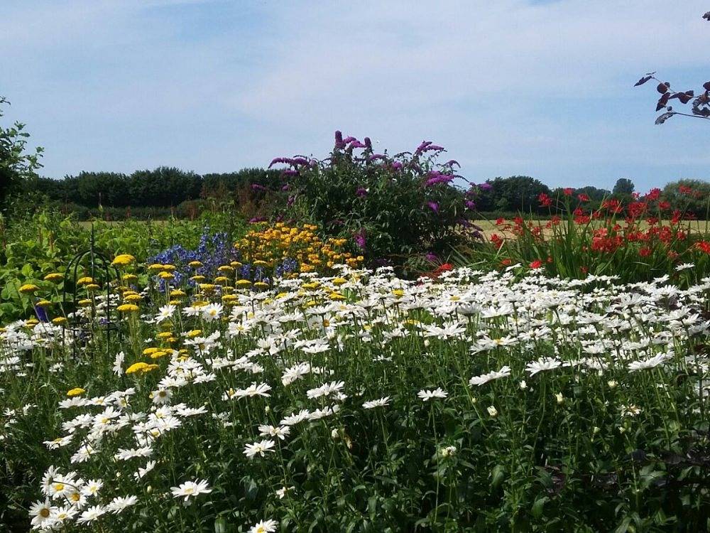 Ferienhof Martens - Fewo 2 in Schwensby, Sörup