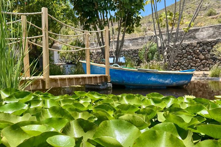 Finca am Strand für 2 Personen, mit Garten in Teneriffa Süd - 2
