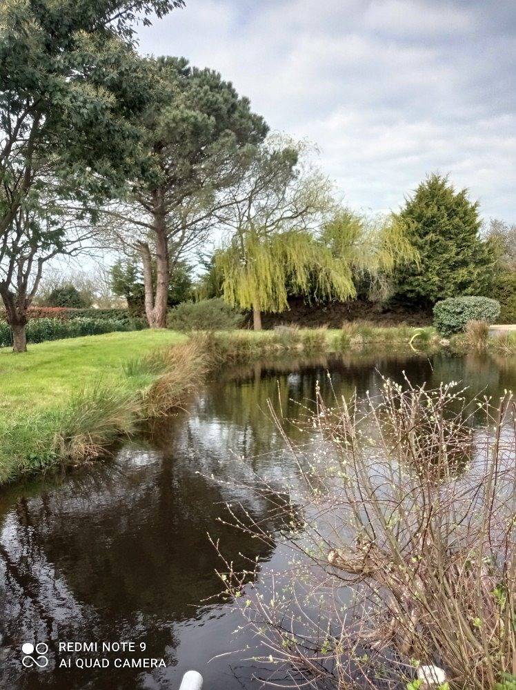 Le Cardoue Gîte entre terre et mer in Saint-Gervais (Vendée), Vendée