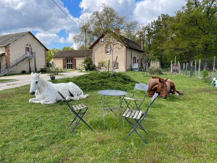 Location de vacances pour 4 personnes, avec jardin ainsi que vue et terrasse, animaux acceptés à Lorris - 2