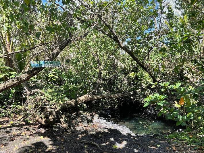 Maison d’hôte pour 4 personnes, avec jardin ainsi que vue et terrasse dans Hawai - 4