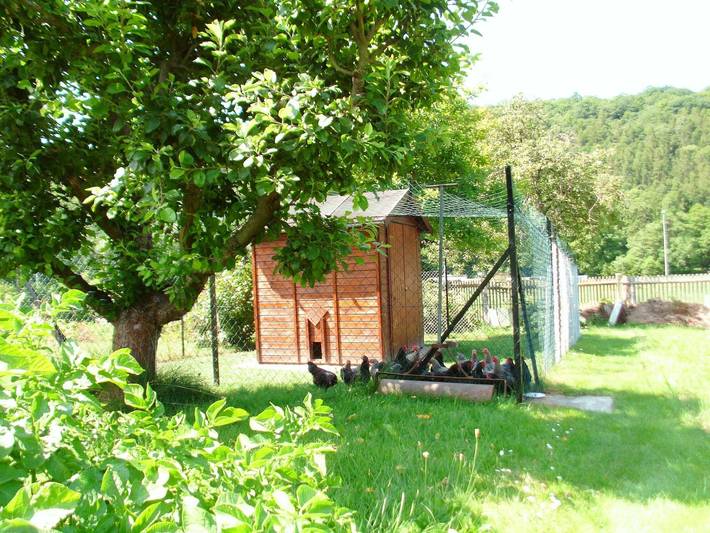 Ferienwohnung für 3 Personen, mit Garten in Sangerhausen - 3