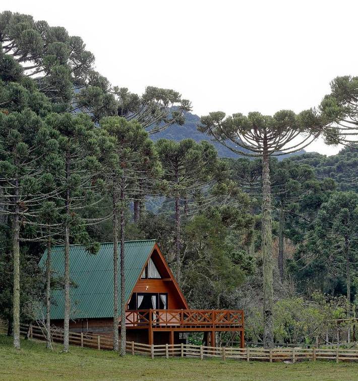 Lodge pour 4 personnes, avec vue et jardin, animaux acceptés - 1