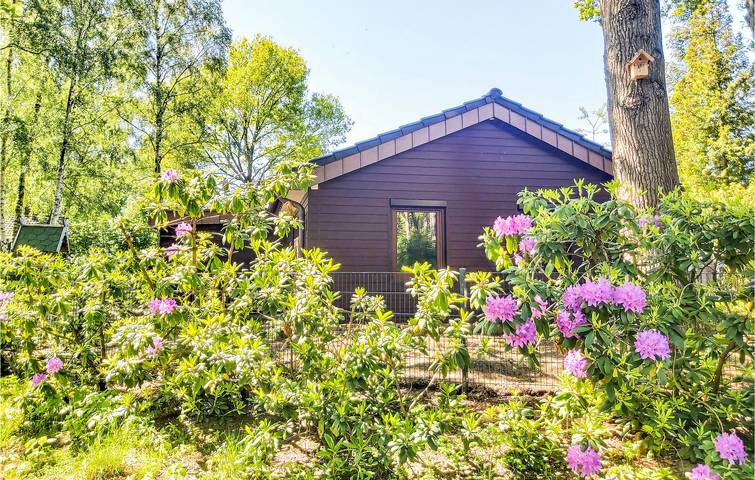 Ferienhaus für 9 Personen, mit Sauna und Whirlpool sowie Terrasse, mit Haustier in Hasetal - 2