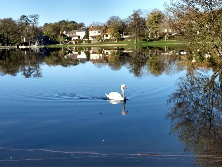 Location de vacances pour 6 personnes à Lormes - 4