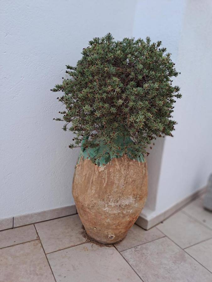 Location de vacances pour 2 personnes, avec vue et terrasse à Tricase - 3