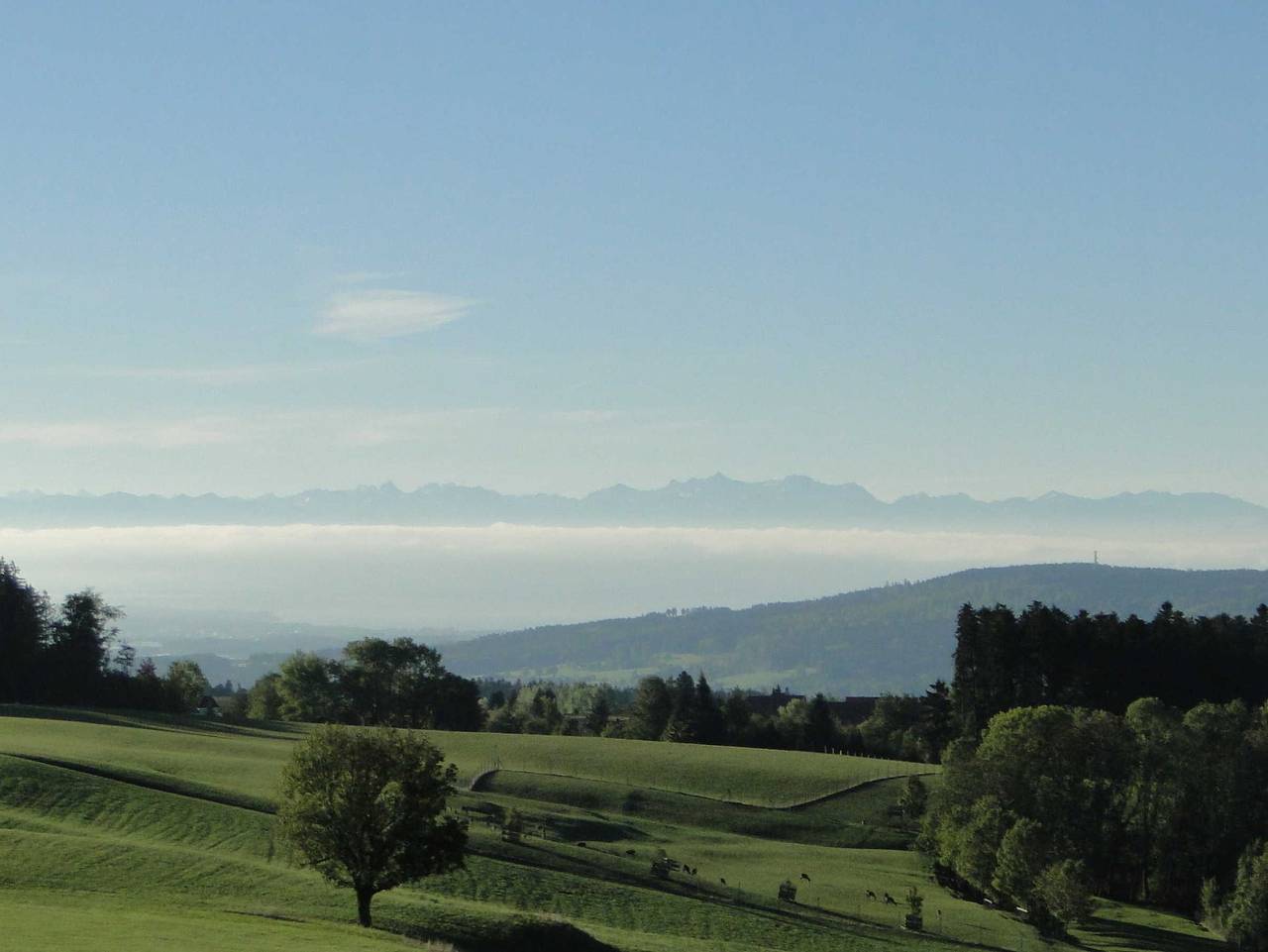 Höchsten Natur Erlebnis Hotel - Doppelzimmer Stammhaus Kat. Ii in Illmensee, Region Bodensee-Oberschwaben