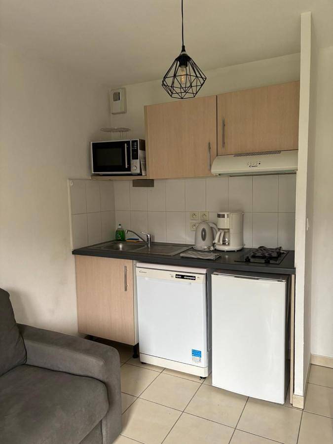 Parc de vacances pour 4 personnes, avec sauna ainsi que jardin et piscine, animaux acceptés en Bretagne - 3