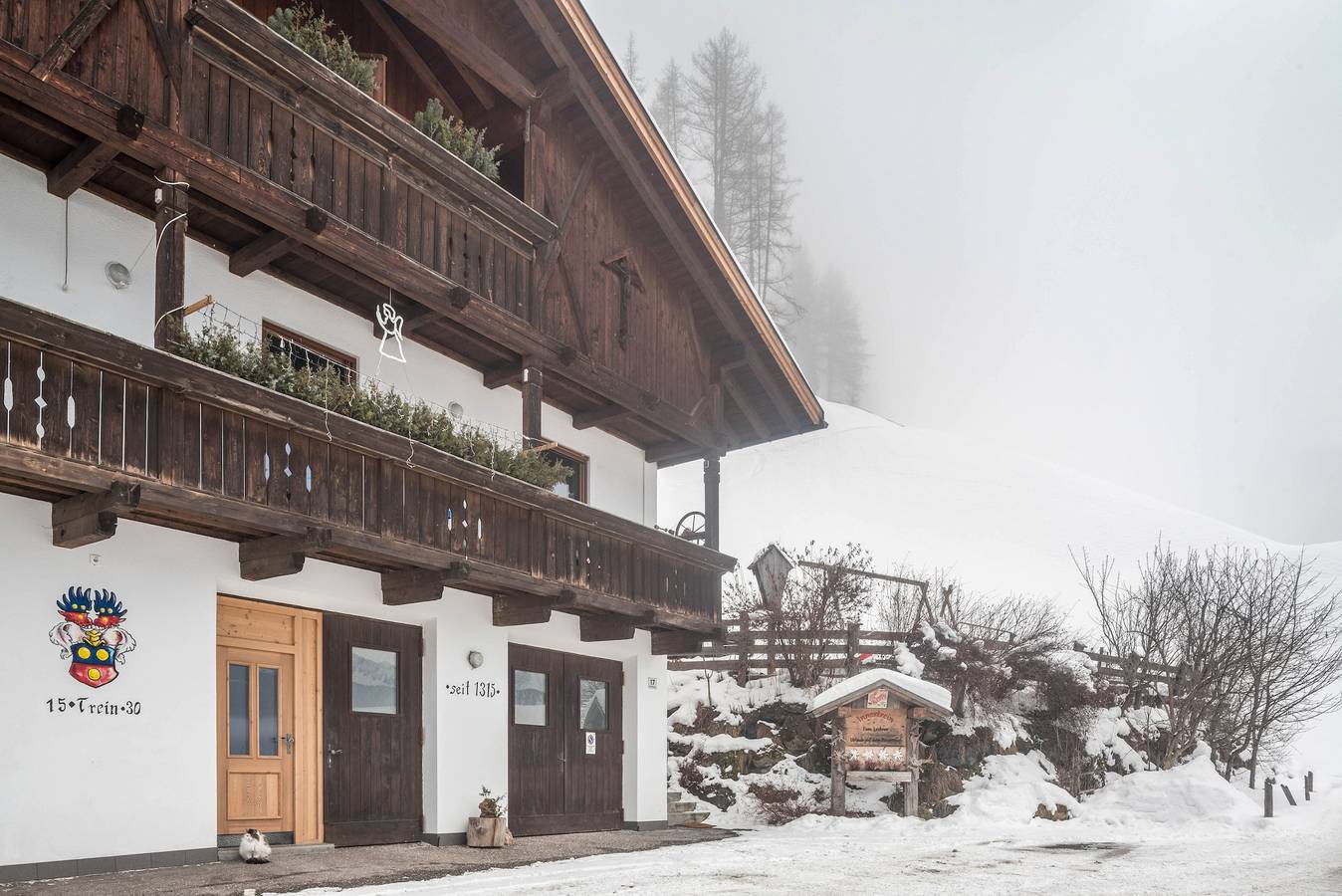 Ganze Wohnung, Ferienwohnung "Mountainfarm Innertrein Wiese" mit Bergblick, Balkon und Wlan in Steinhaus (Ahrntal), Ahrntal