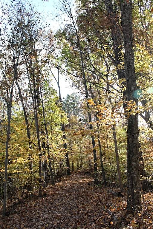 Betty's Vineyard House - Auf dem Shawnee Wine Trail in Alto Pass, Union County (IL)