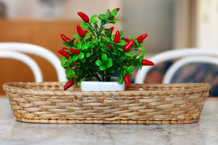 Appartamento intero, Appartamento "Via Colombo 12 Bilo" con terrazza in Bagni San Giorgio, Bonassola