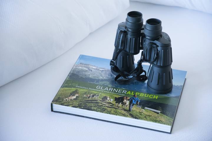 Berghotel Mettmen - Doppelzimmer in Schwanden, Glarus Süd