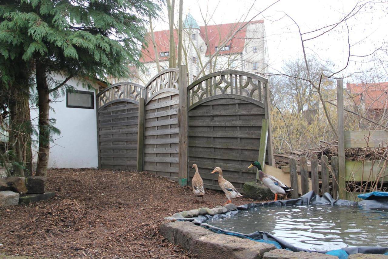 Ferienhaus Puttrich in Hohnstein, Elbsandsteingebirge
