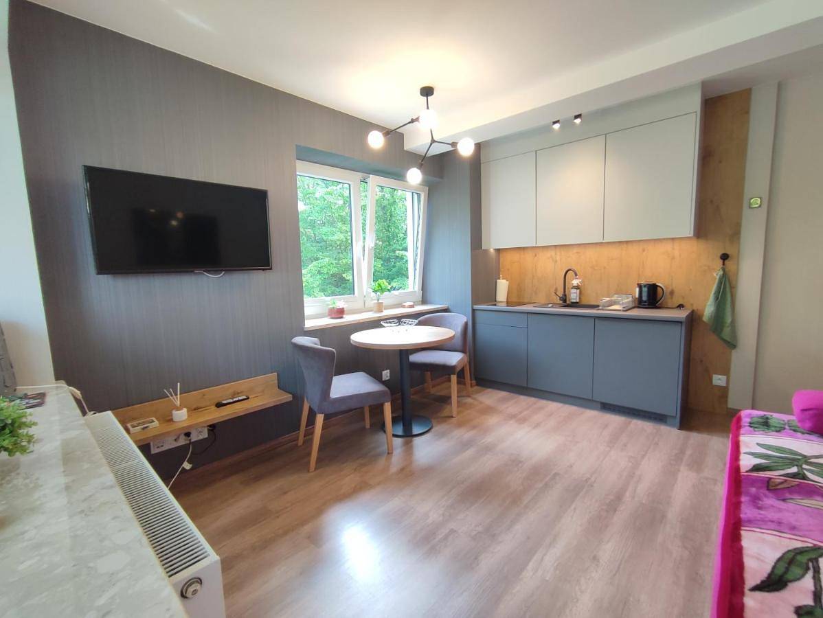 Cały apartament, Czarodziejska Góra Kozubnik Daglezja in Porąbka, Śląsk