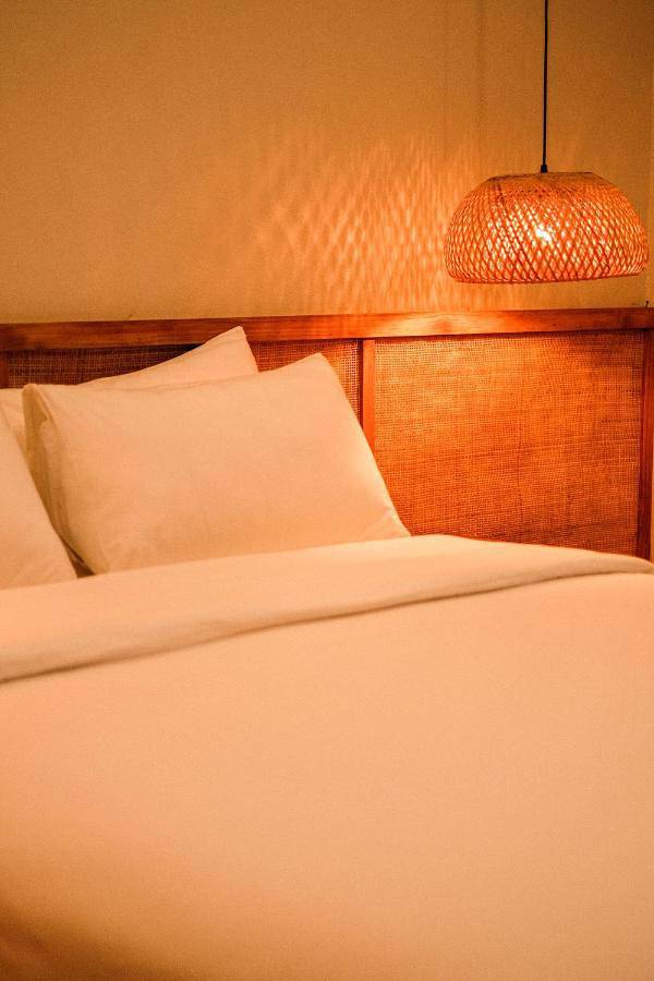 Chambre d’hôte pour 3 personnes, avec jardin, animaux acceptés dans Dhiffushi - 3