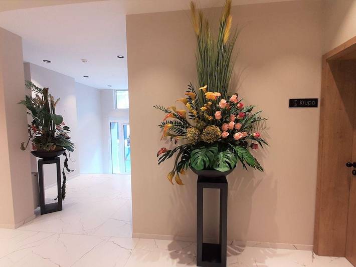 Hotel für 2 Personen, mit Terrasse in Bad Neuenahr - 2