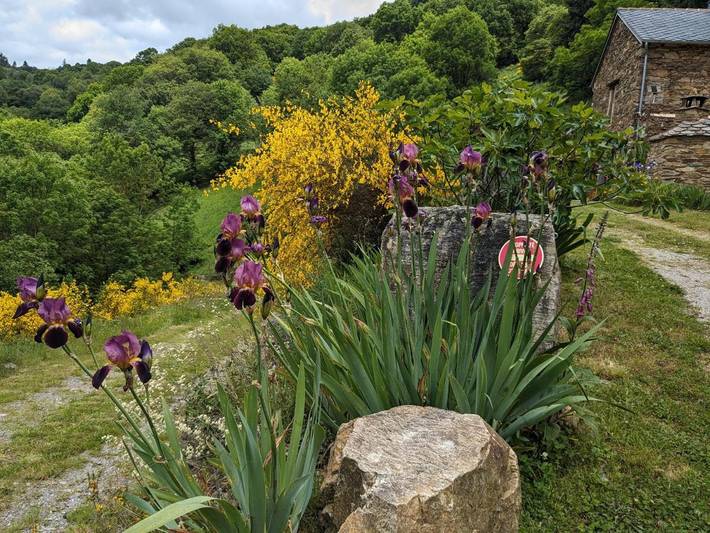 Location de vacances pour 3 personnes, avec jardin et vue à Salles-Curan - 2
