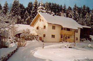 Ferienhaus für 8 Personen, mit Balkon in Neureichenau - 2