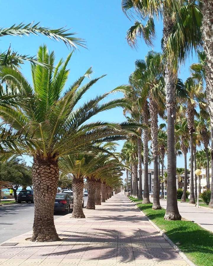 Apartamento entero, Apartment in Moncófar, Costa del Azahar