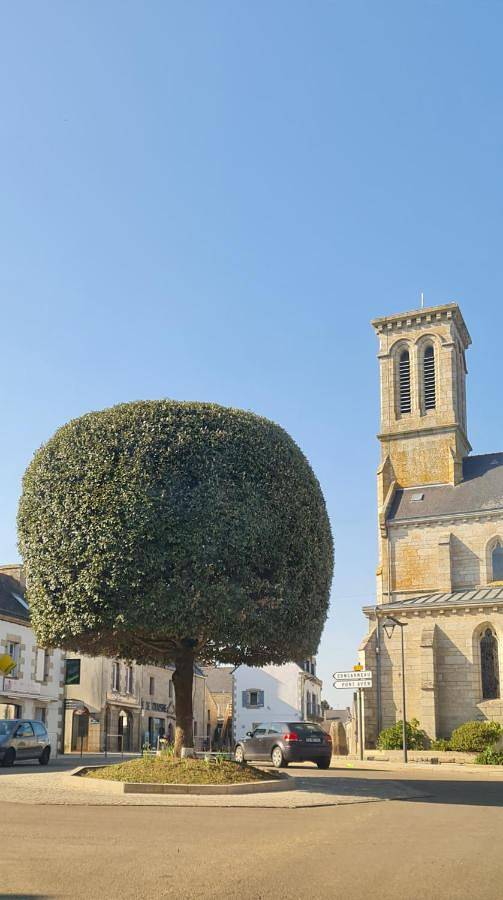 Grande Maison dans le Bourg de Nevez + jardin in Névez, Quimper und Umgebung