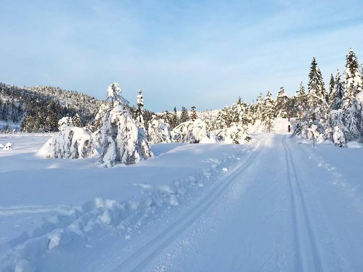 Ferienhaus für 15 Personen, mit Sauna und Terrasse, kinderfreundlich in Telemark