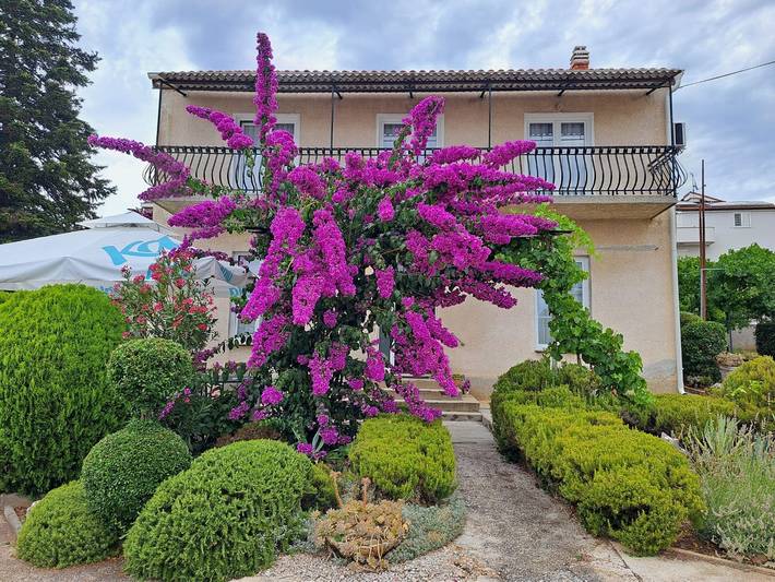 Ferienwohnung für 5 Personen, mit Balkon/Terrasse in Biograd na Moru - 2