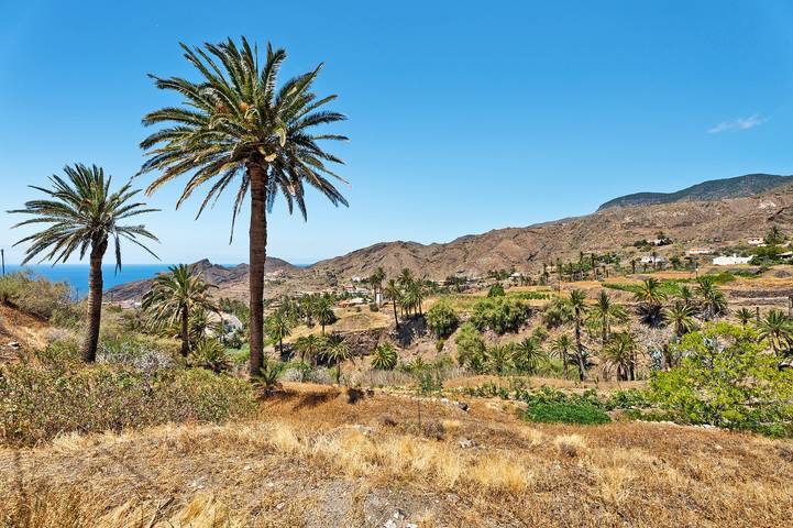 Location de vacances pour 6 personnes, animaux acceptés dans Alojera - 2