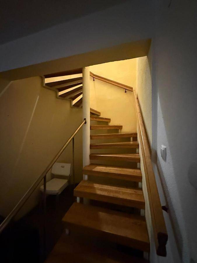 Gîte pour 3 personnes, avec balcon et jardin, animaux acceptés dans Poiana Brasov - Brasov - 4