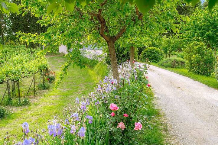 Tra arte e natura agriturismo in Umbria Cuore Verde d' Italia in Spello, Perugia e dintorni