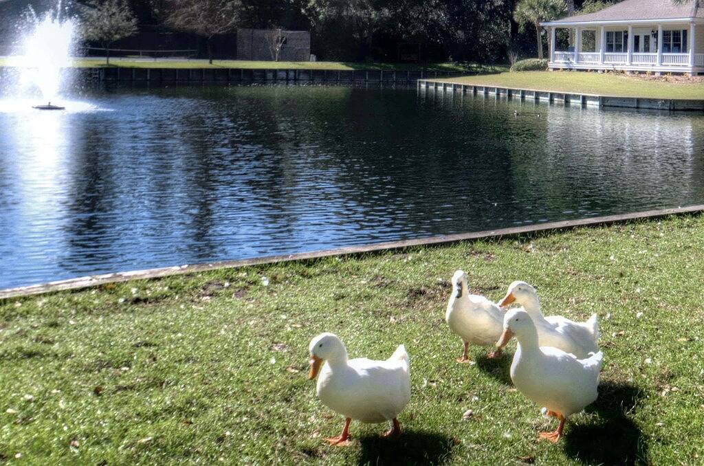 Ganze Wohnung, Totally Renovated Coastal Condo in Ocean Walk, Unit in St. Simons Island, Glynn County