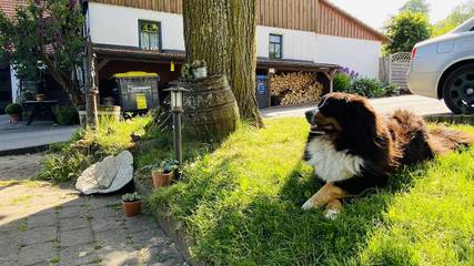 Bauernhof für 3 Personen in Ehrenberg, Rhön-Hessen, Bild 4