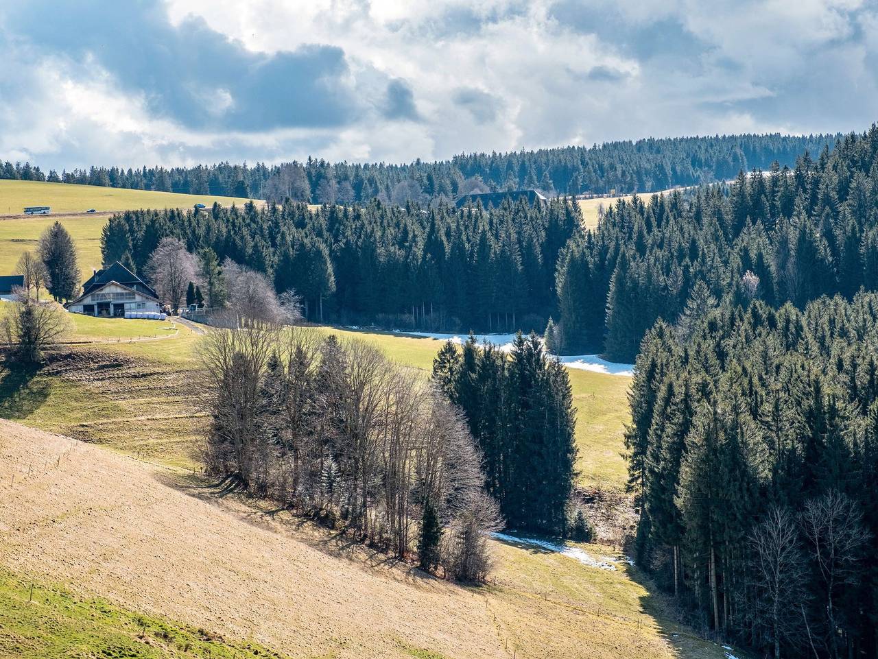 Ganze Ferienwohnung, Brosihof - Ferienwohnung 2- Ost in St. Märgen, Südschwarzwald