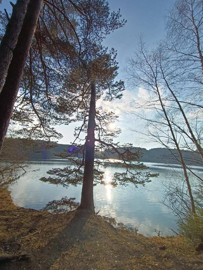 Double Room in Monlet, Parc Naturel Régional Livradois-Forez