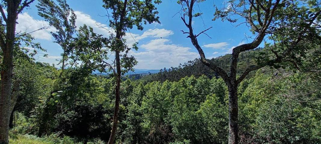Gîte pour 4 personnes, avec vue ainsi que jardin et piscine, animaux acceptés dans Cabeceiras de Basto - 4