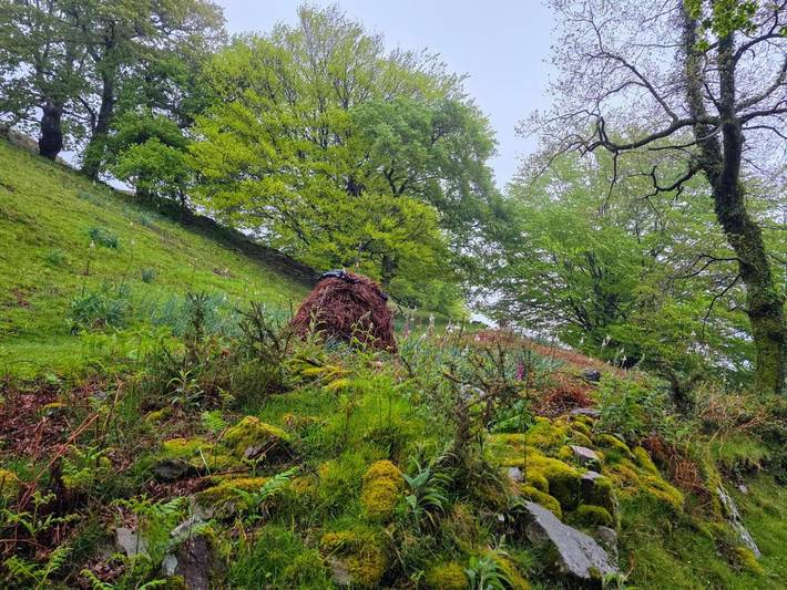 Casa rural para 2 personas, con vistas y jardín en Pirineo Navarro - 3