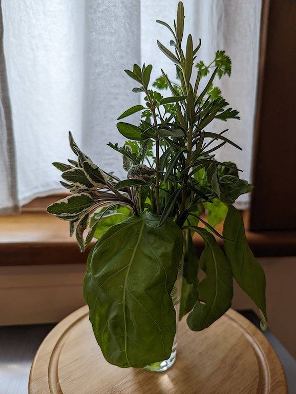 Pack House Cottage in Süd-Lancaster in Lancaster County