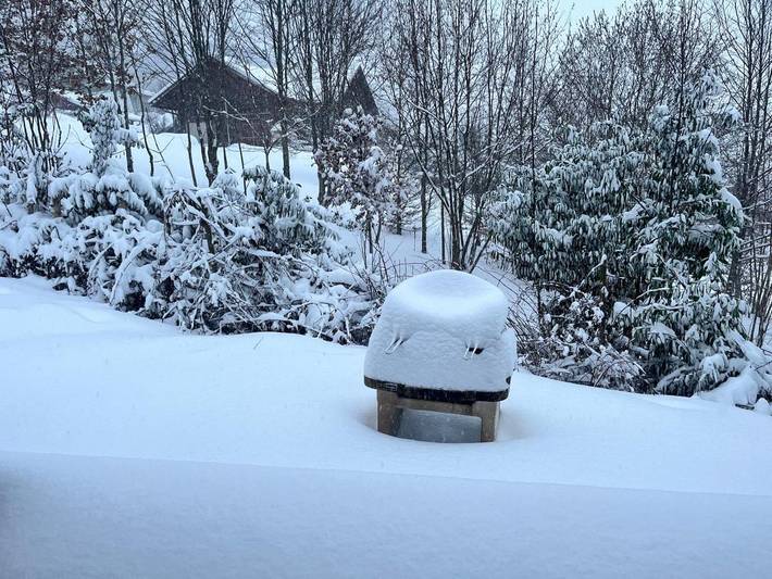 Chalet pour 8 personnes, avec jacuzzi ainsi que sauna et jardin à Xonrupt-Longemer - 3