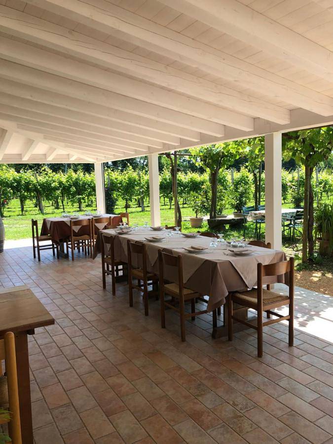 Location de vacances pour 3 personnes, avec jardin ainsi que terrasse et vue, animaux acceptés à Follina - 4