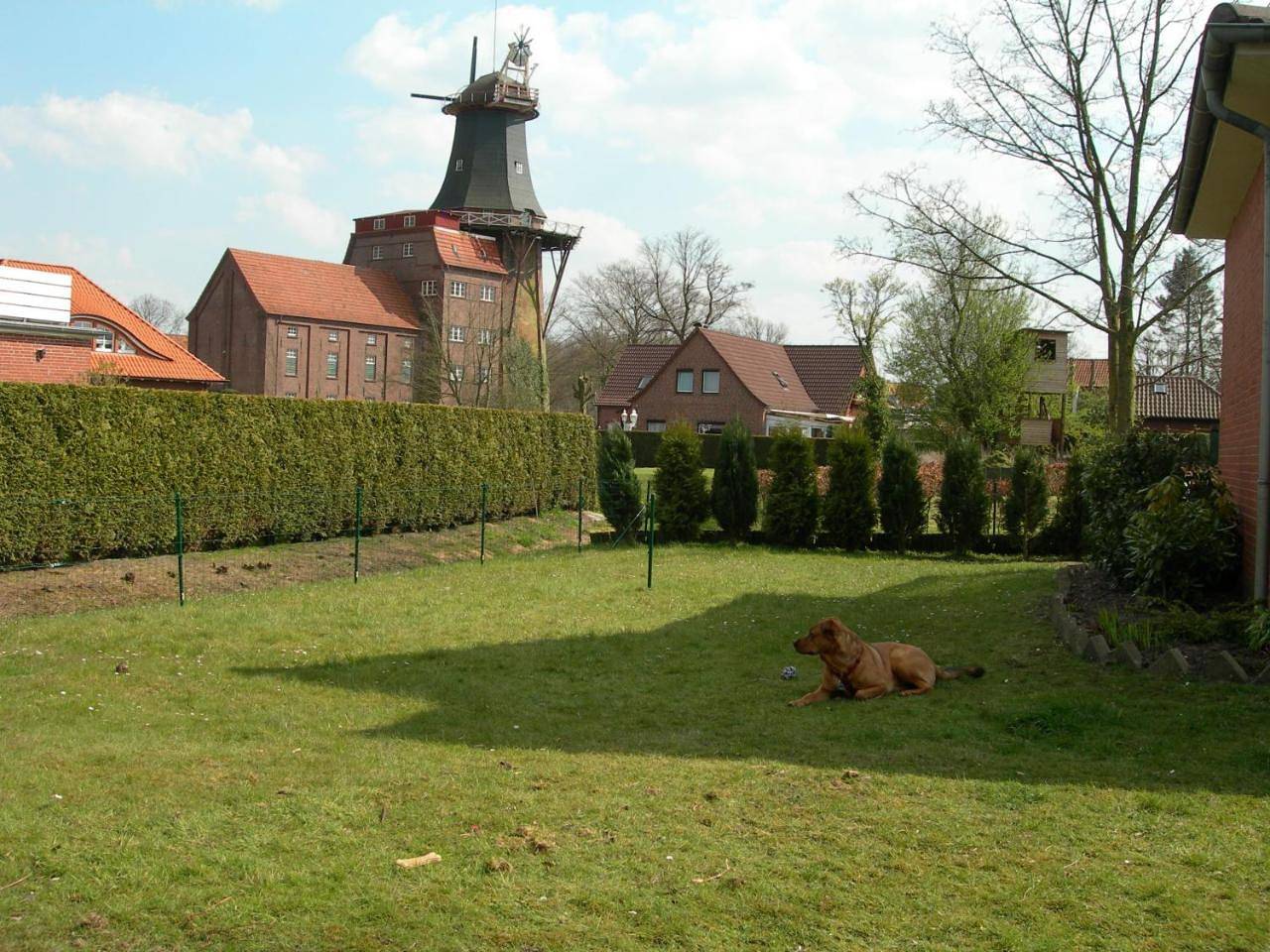 Bild 1