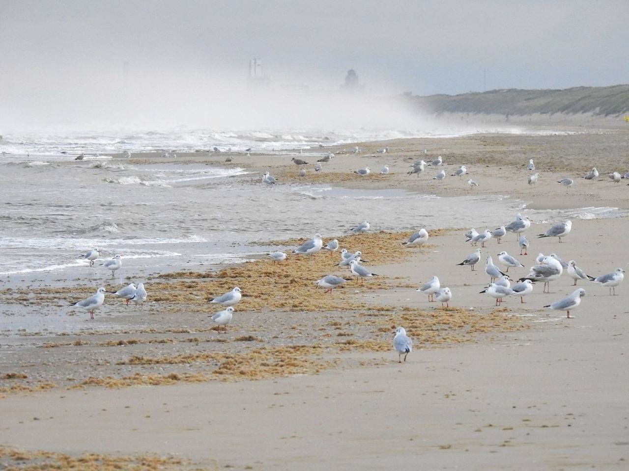 Beachplace in Noordwijk aan Zee, Noordwijk