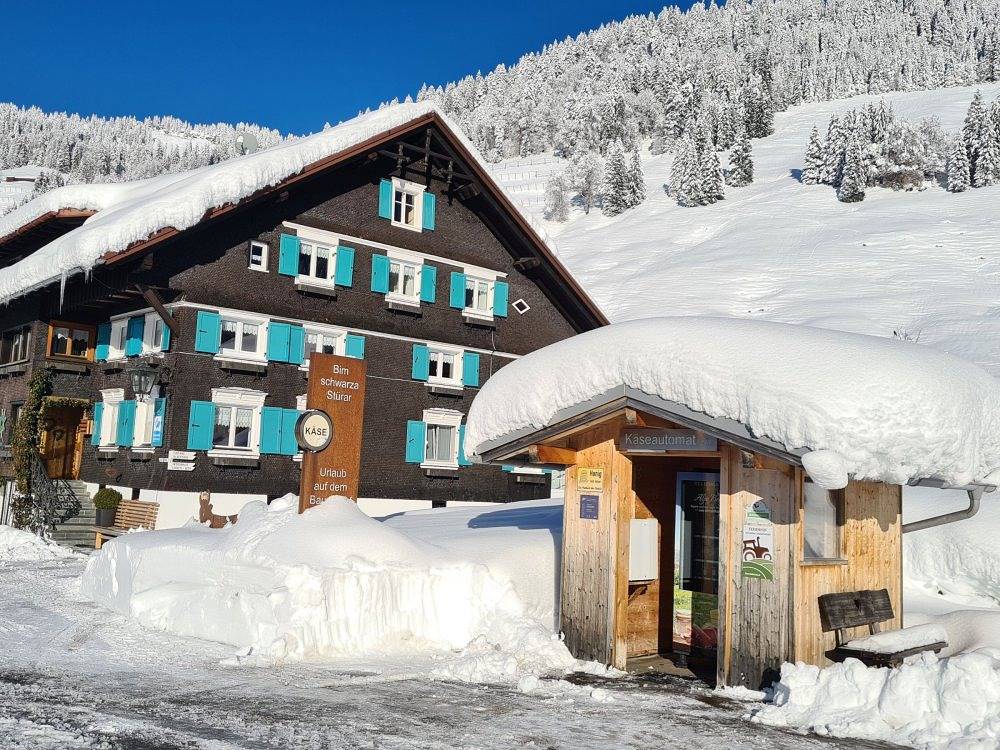 Ferienhof "Alpe Berg" - Bauernhaus 5 in Balderschwang, Bayerisch Schwaben